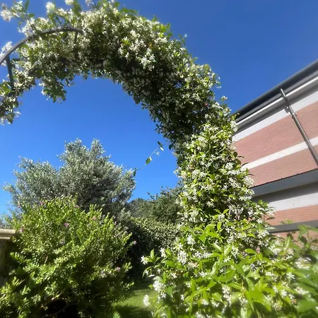 Con Giardino E Giava *