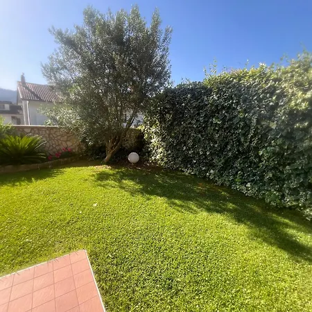 Apartment Con Giardino E Giava *